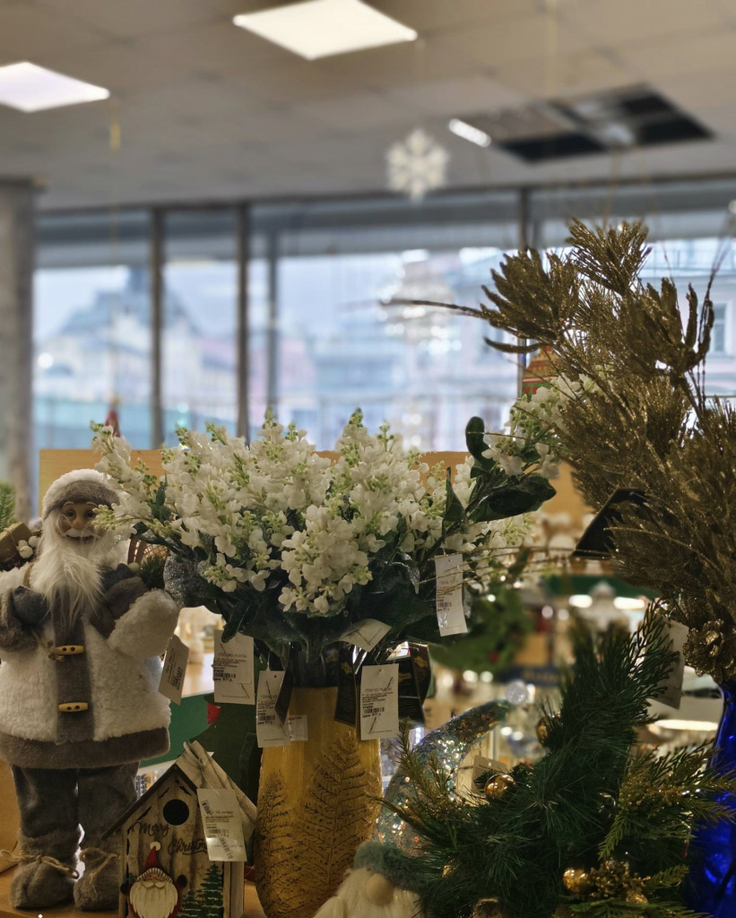 IMG_20251121_121513.jpg IMG_20251121_121513.jpg