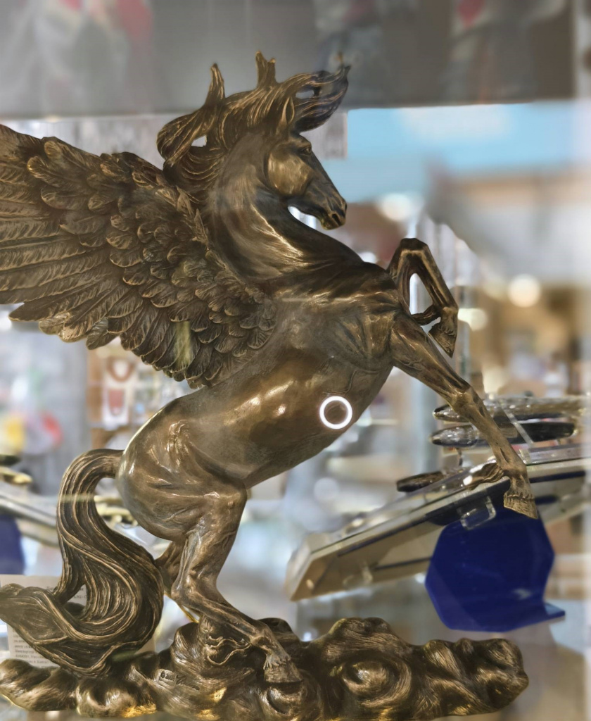 IMG_20250731_144108.jpg IMG_20250731_144108.jpg